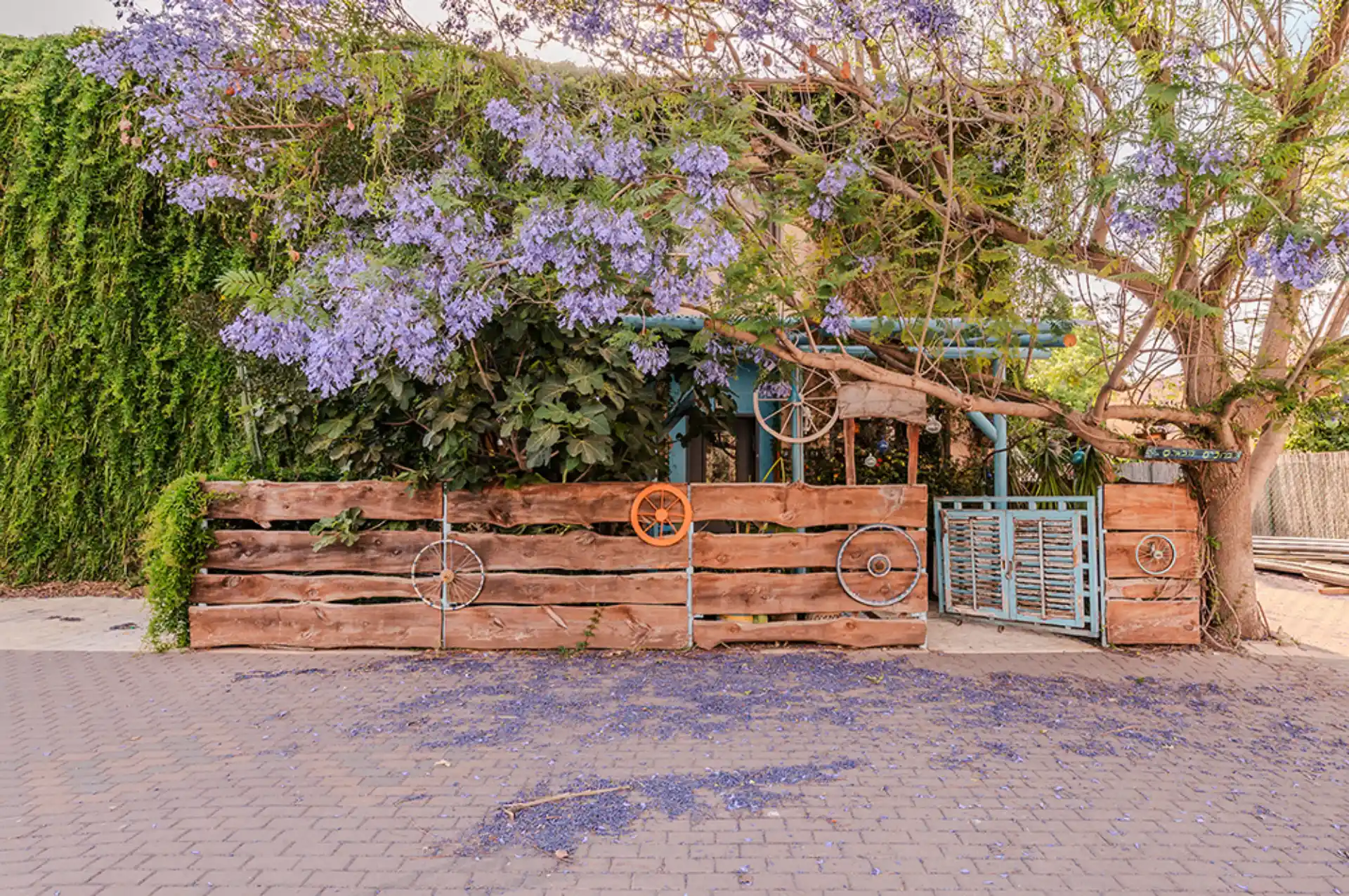 TMR_4912_תומר_שלנגר_צלם