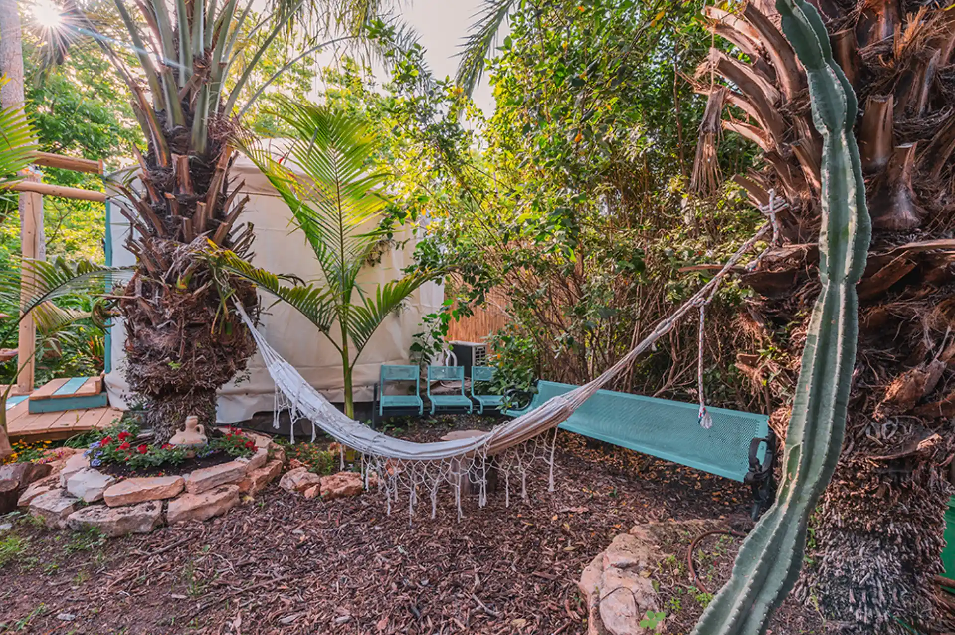 TMR_4967_תומר_שלנגר_צלם