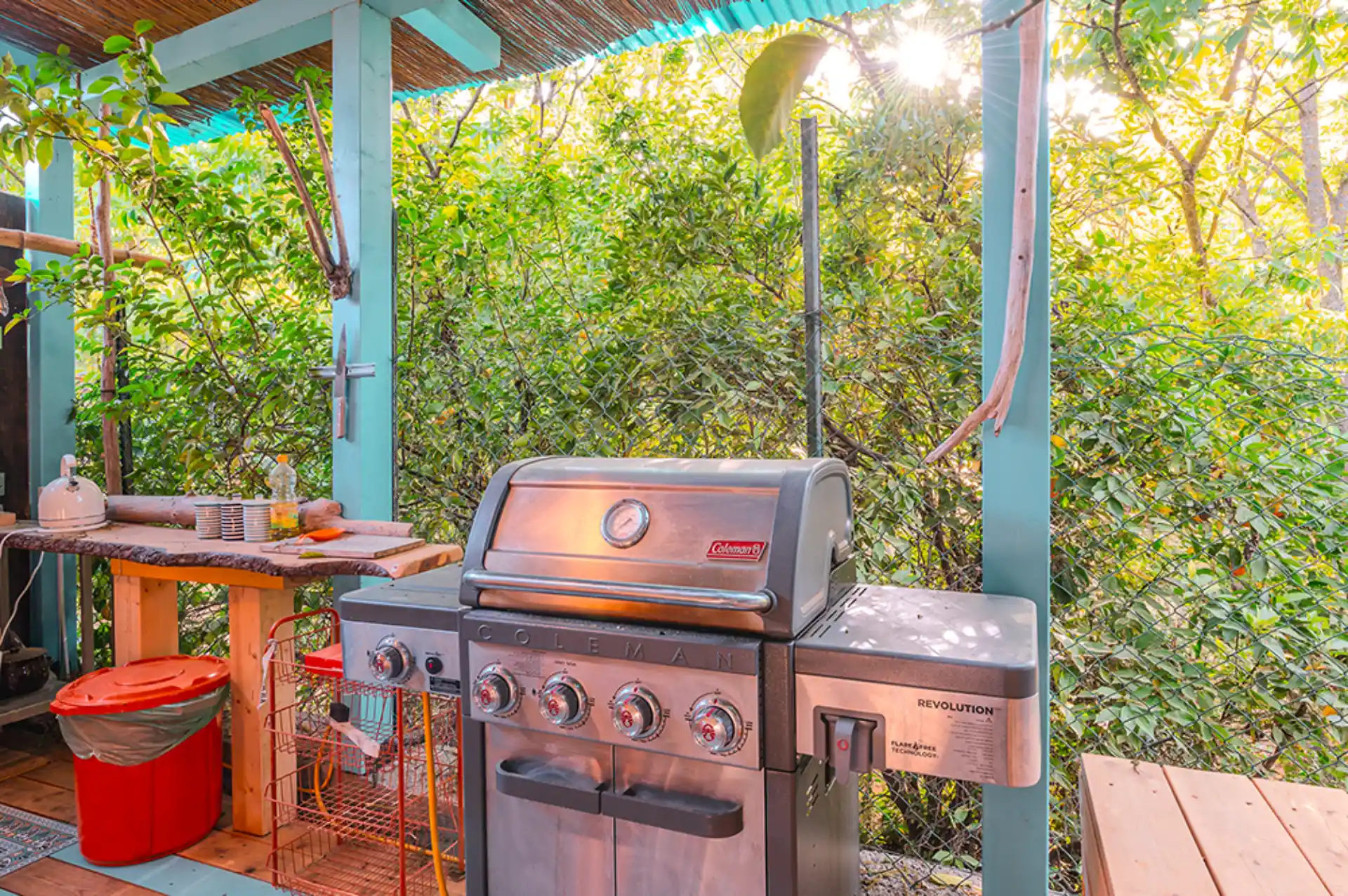 TMR_5001_תומר_שלנגר_צלם